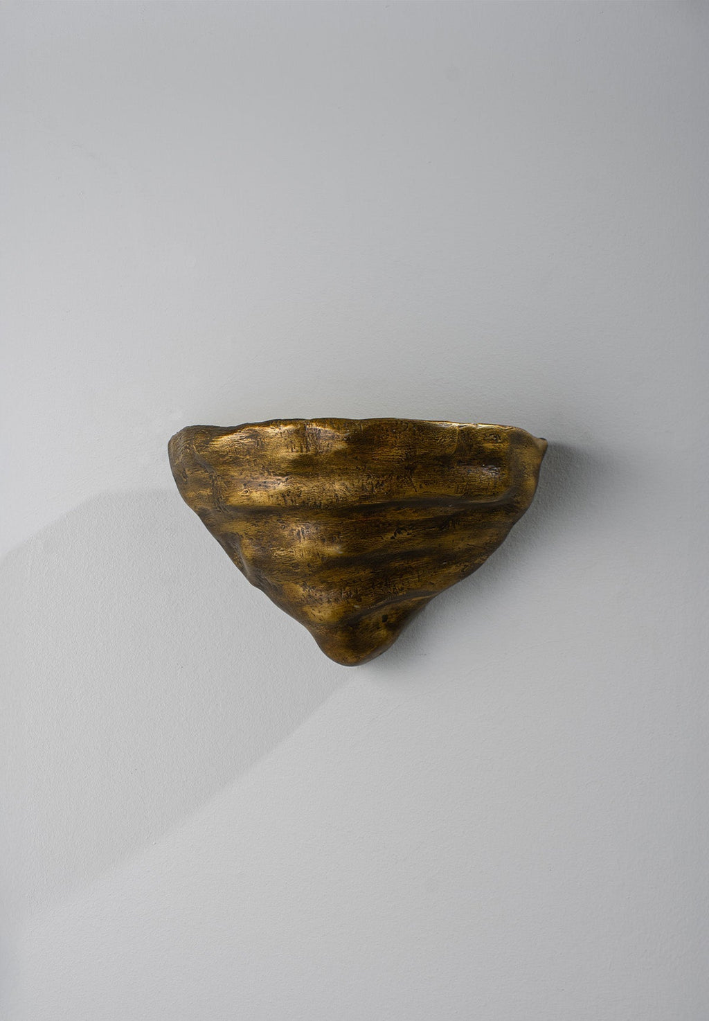 Mollusc Wall Sconce