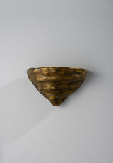 Mollusc Wall Sconce