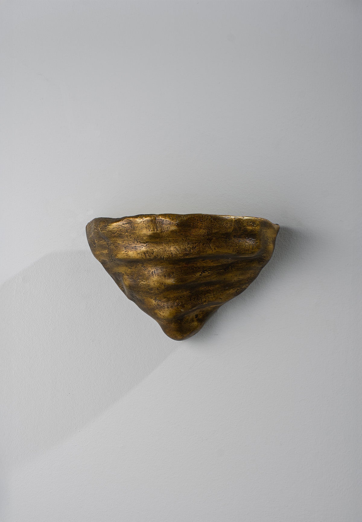 Mollusc Wall Sconce