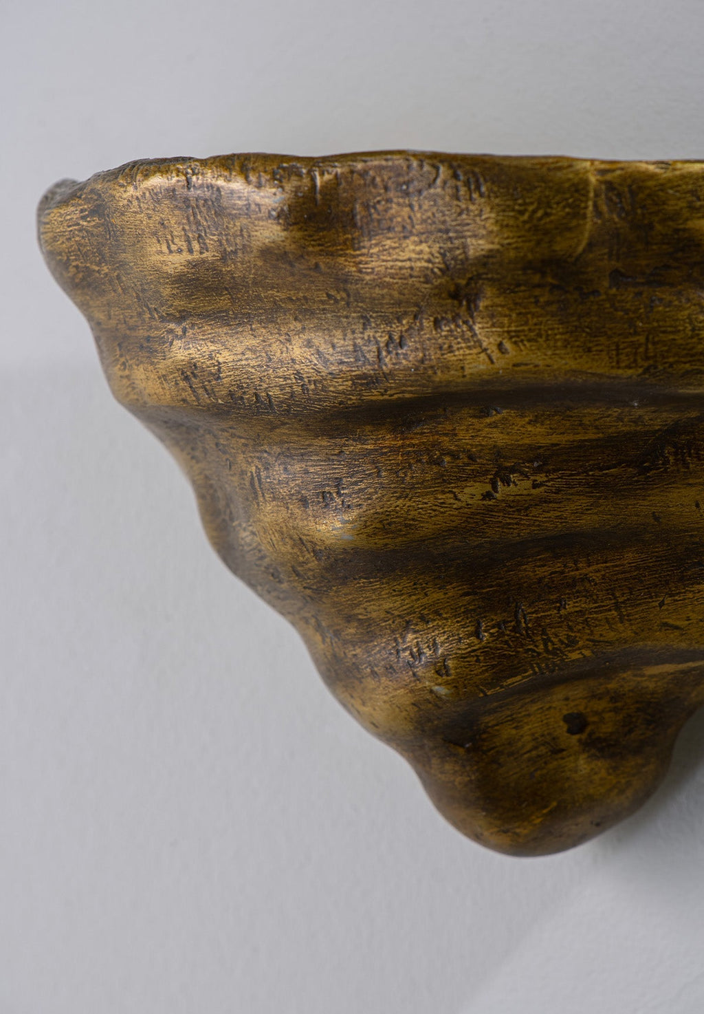Mollusc Wall Sconce