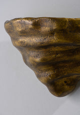 Mollusc Wall Sconce