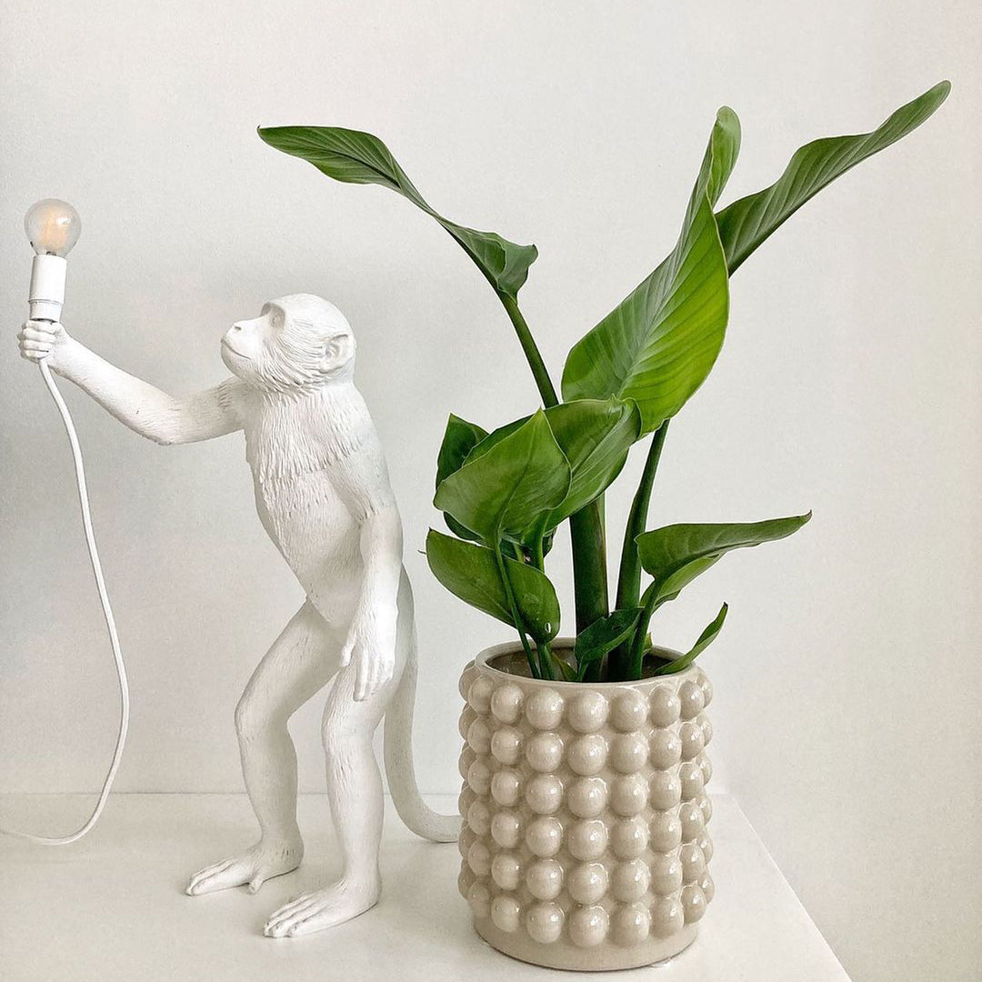 Monkey Table Lamp