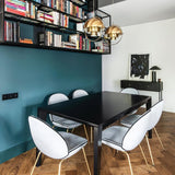 Multi-Lite Pendant Light