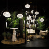 Ashanti Pendant Lighting