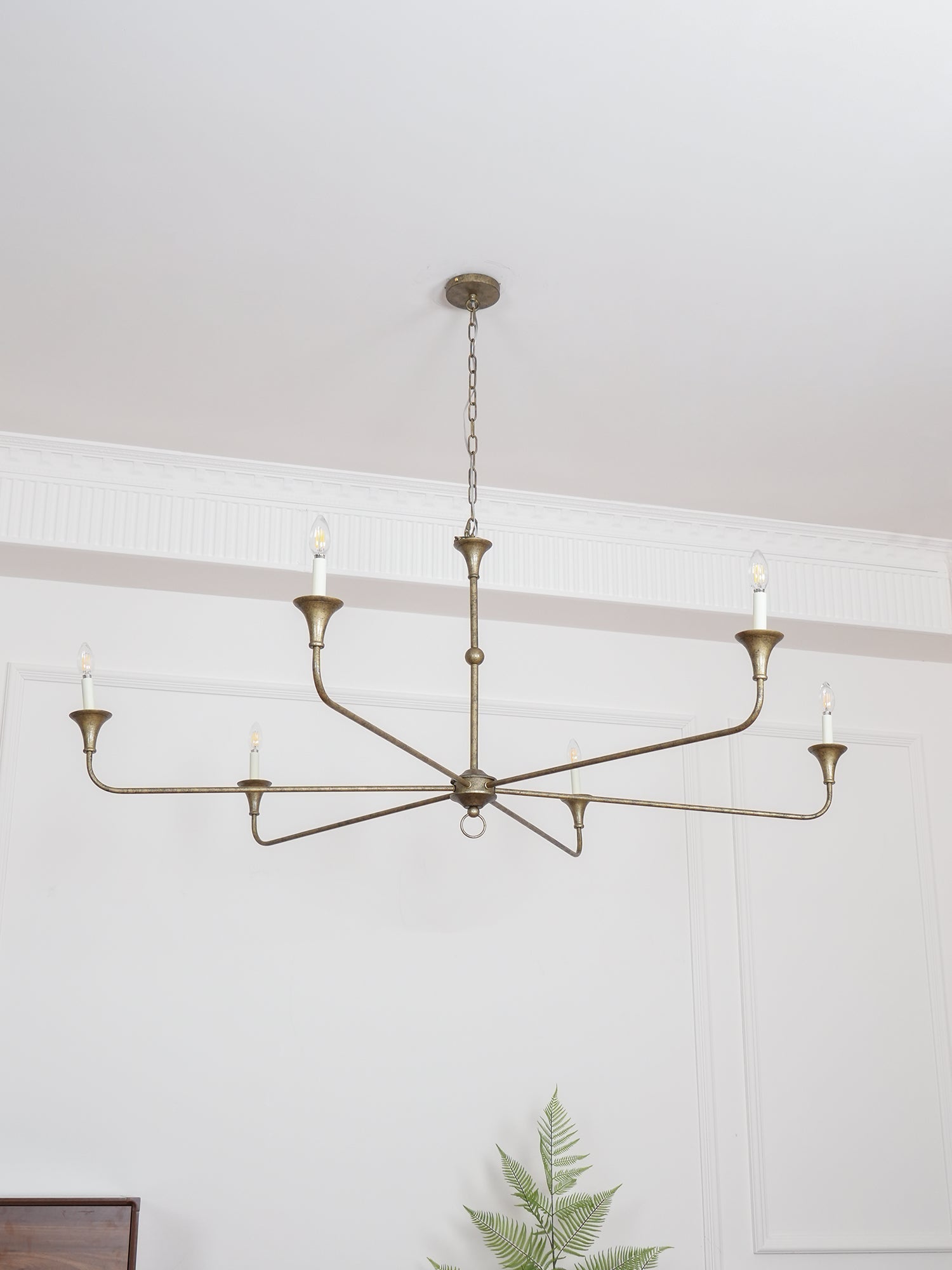 Coro Chandelier