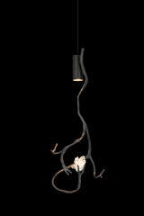 Orpheus Pendant Lamp