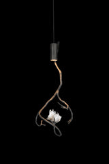 Orpheus Pendant Lamp