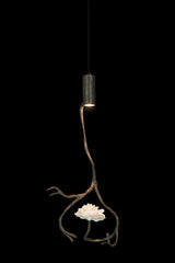 Orpheus Pendant Lamp