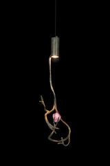 Orpheus Pendant Lamp