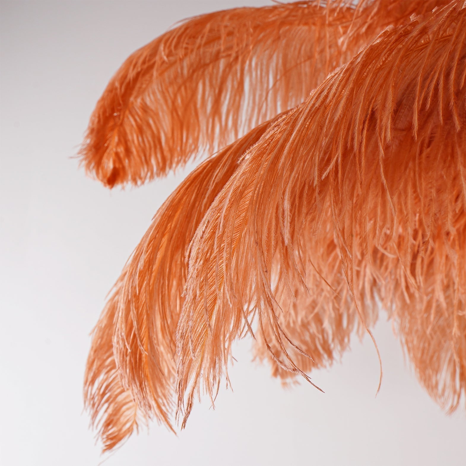 Fero Ostrich Feather Floor Lamp