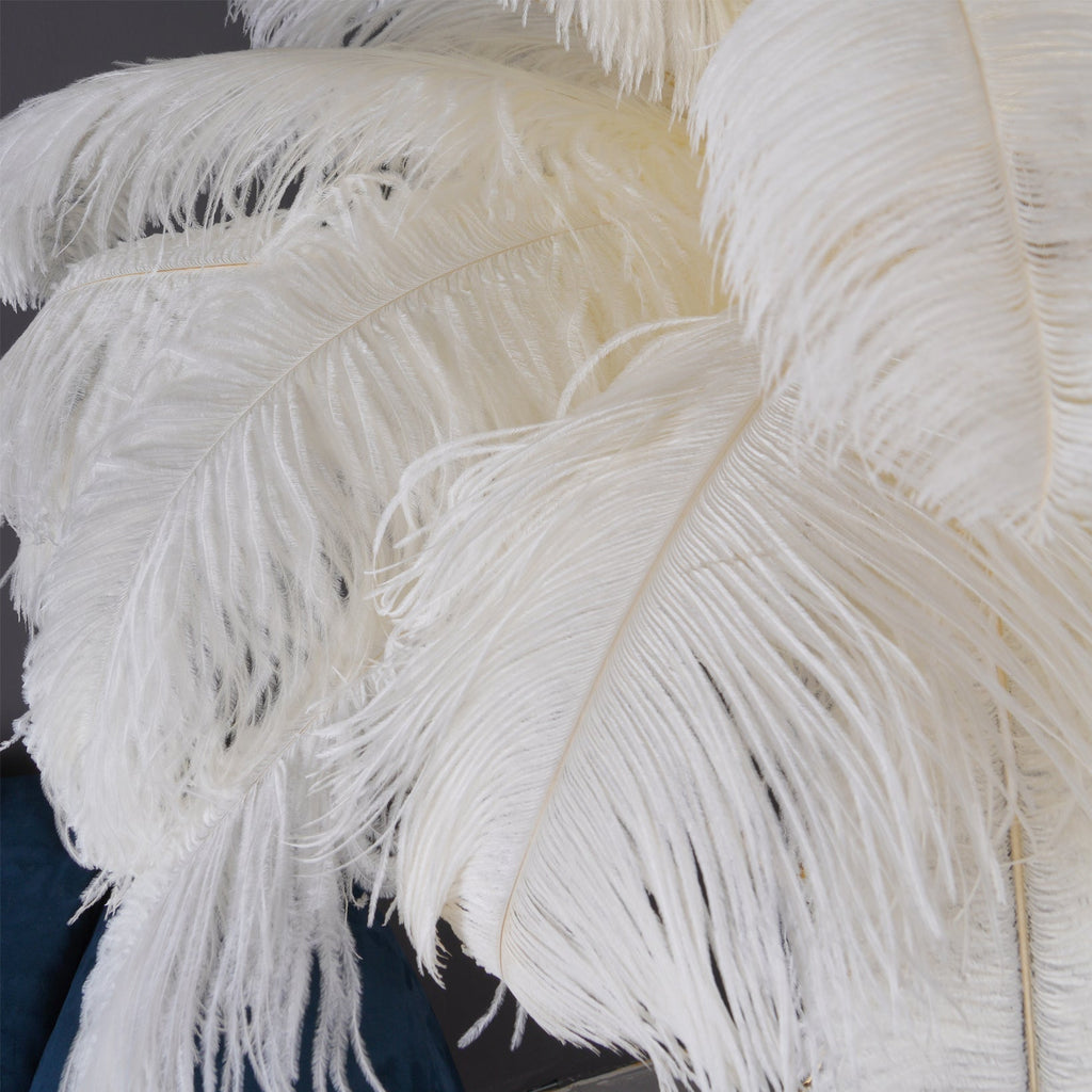 Fero Ostrich Feather Floor Lamp