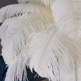 Fero Ostrich Feather Floor Lamp