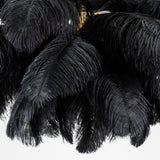 Fero Ostrich Feather Chandelier