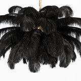 Fero Ostrich Feather Chandelier