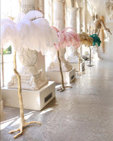 Fero Ostrich Feather Floor Lamp