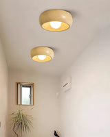 Pansy Flush Mount Lighting