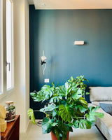 Parentesi Pendant Lamp