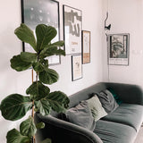 Parentesi Pendant Lamp
