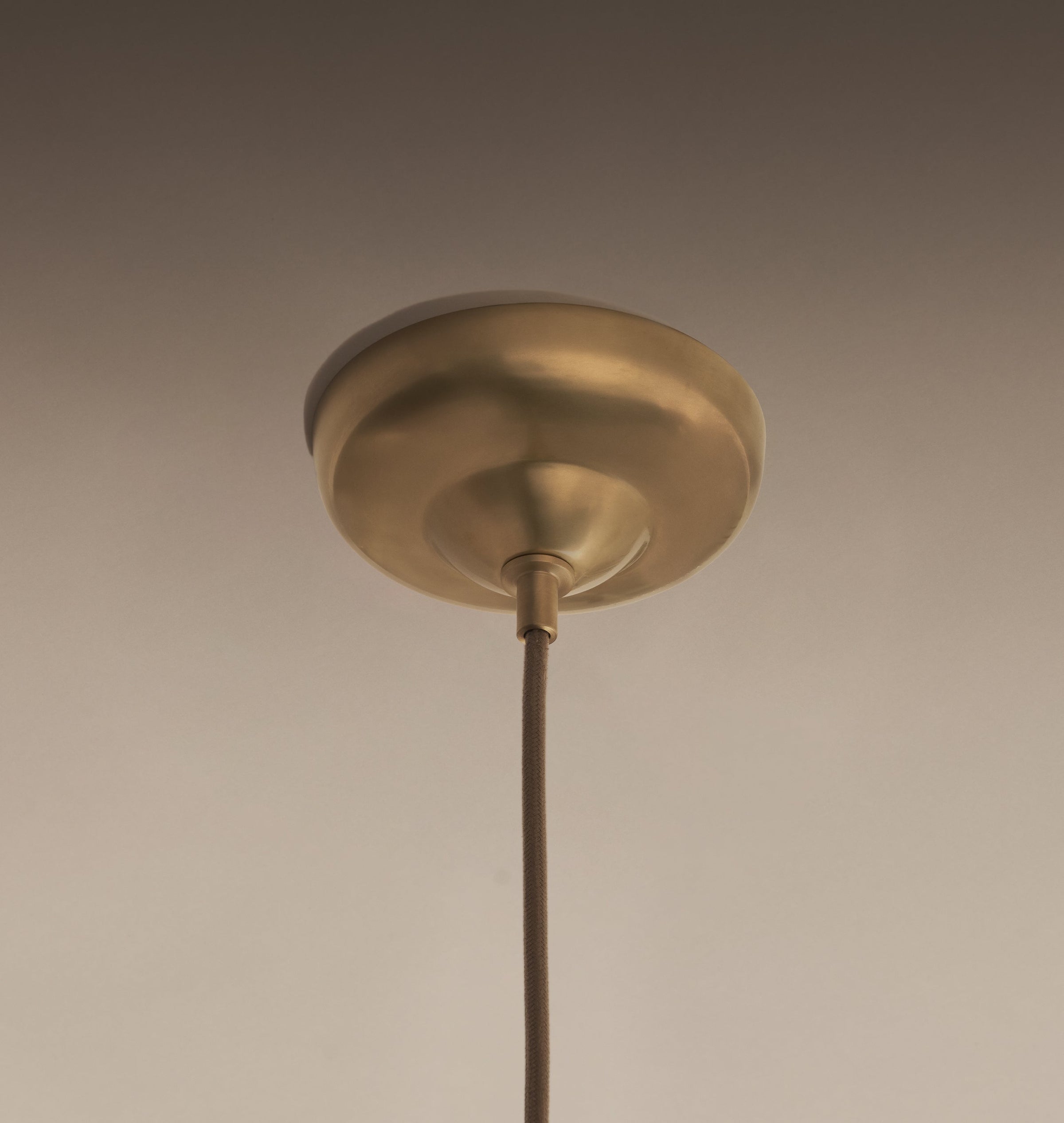Petal Pendant Lamp
