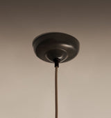 Petal Pendant Lamp