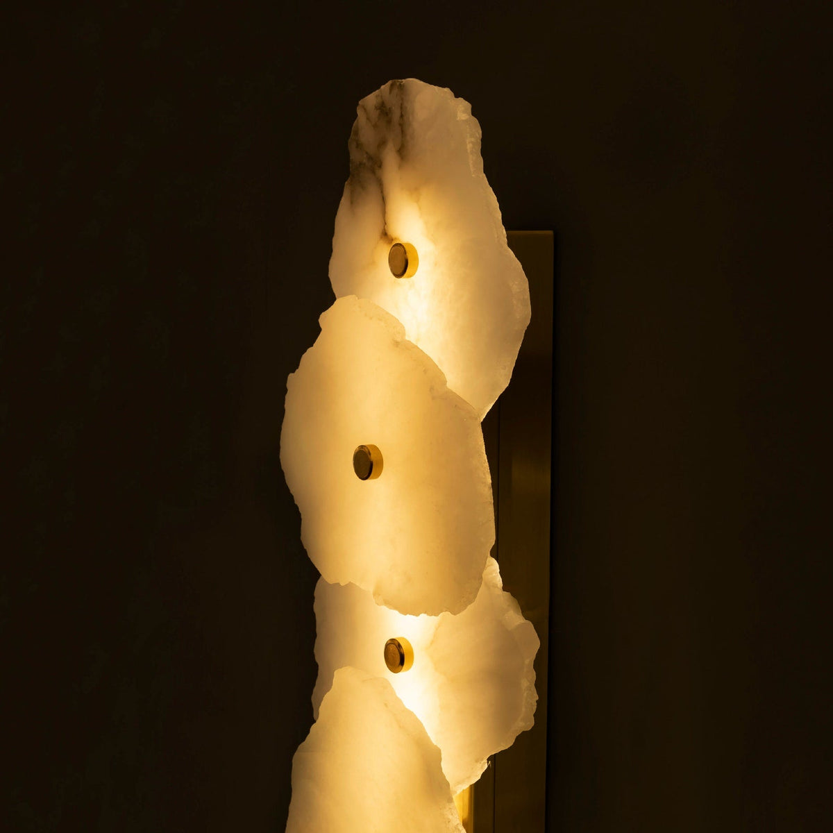 Petra Sconce
