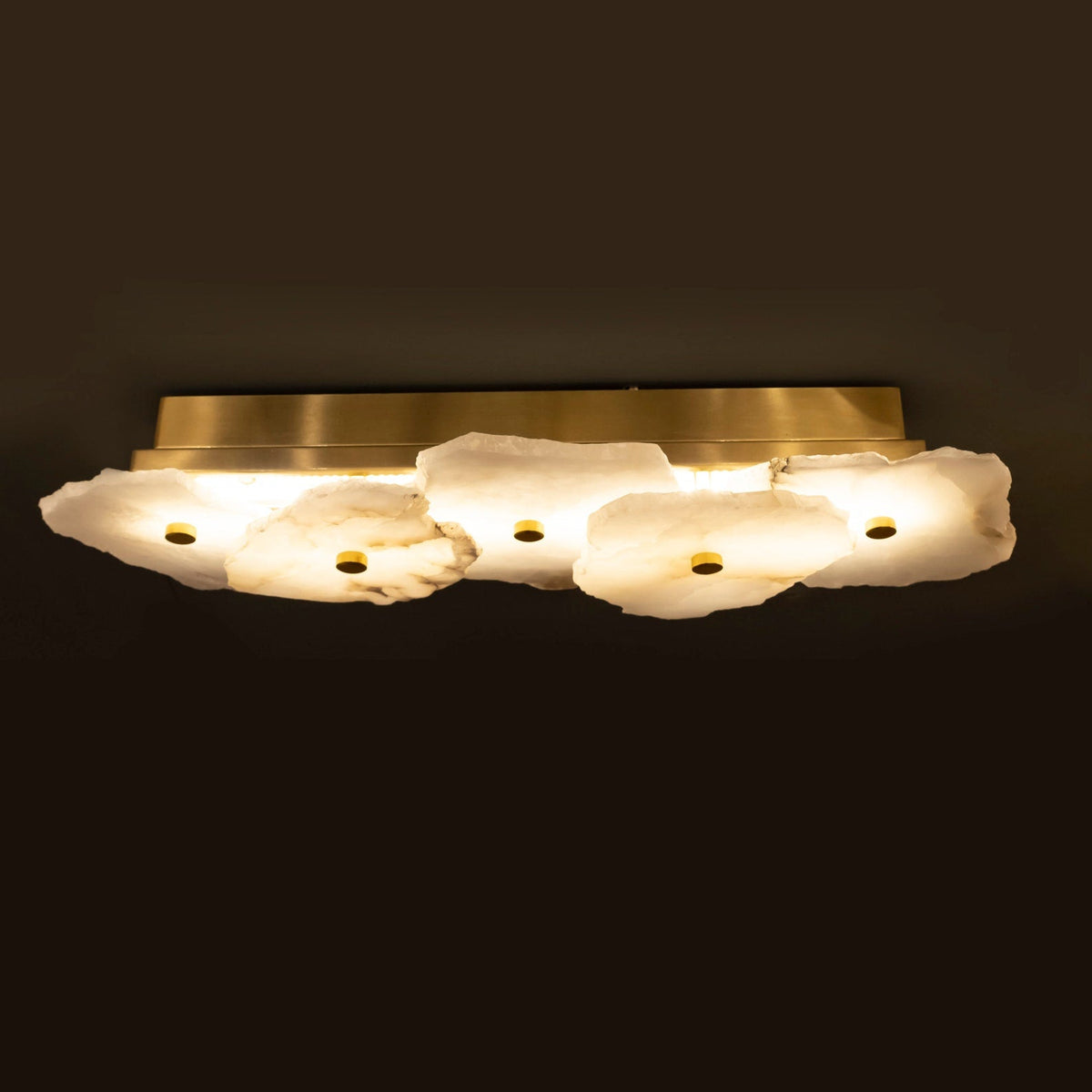 Petra Sconce