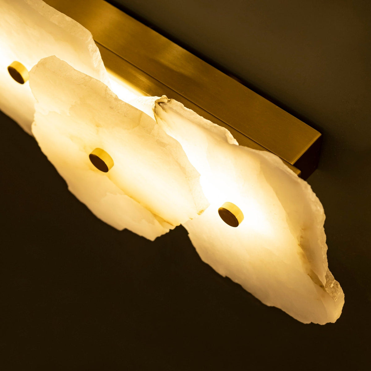 Petra Sconce