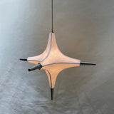 Polar Chandelier
