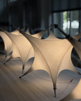 Polar Chandelier