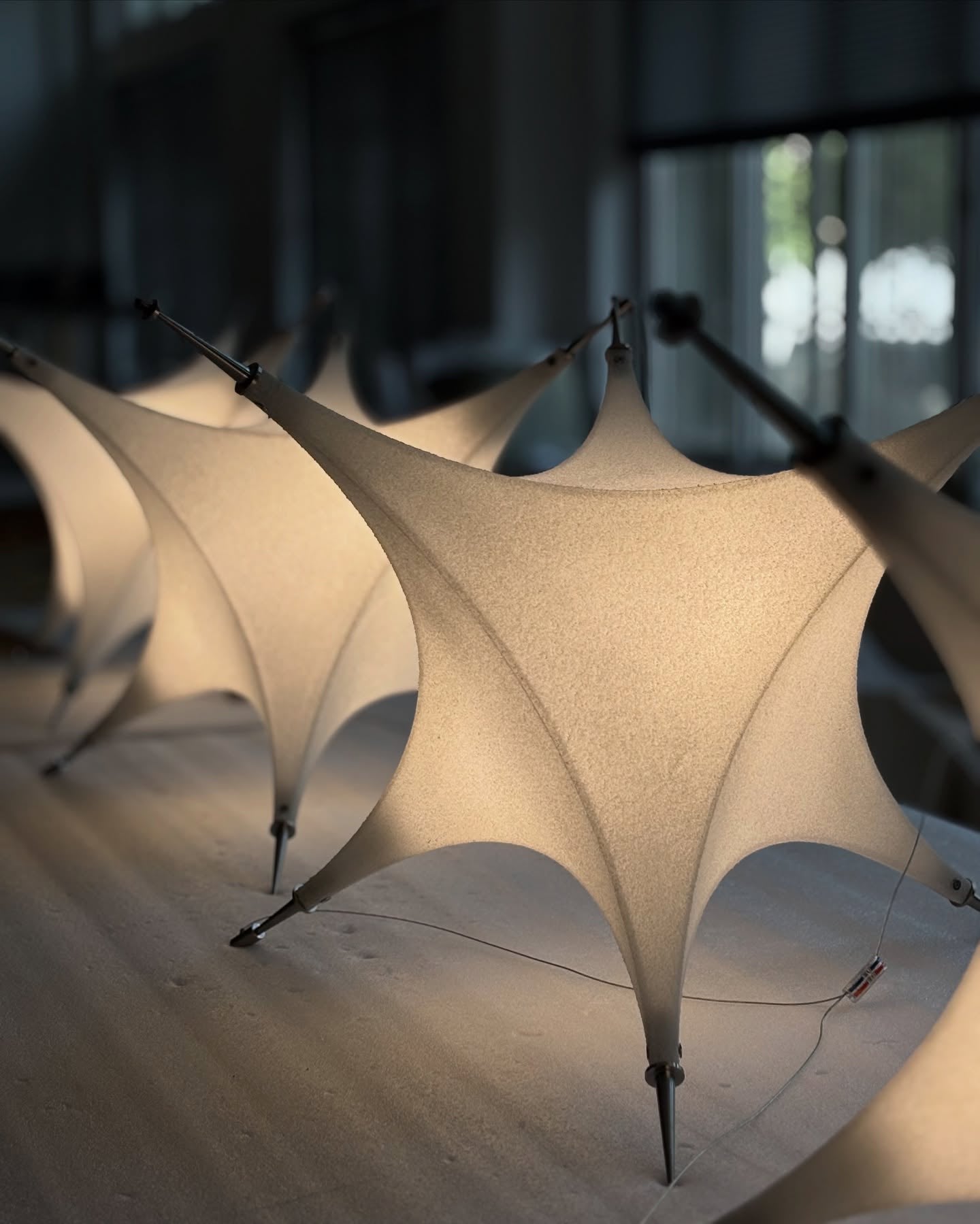 Polar Chandelier