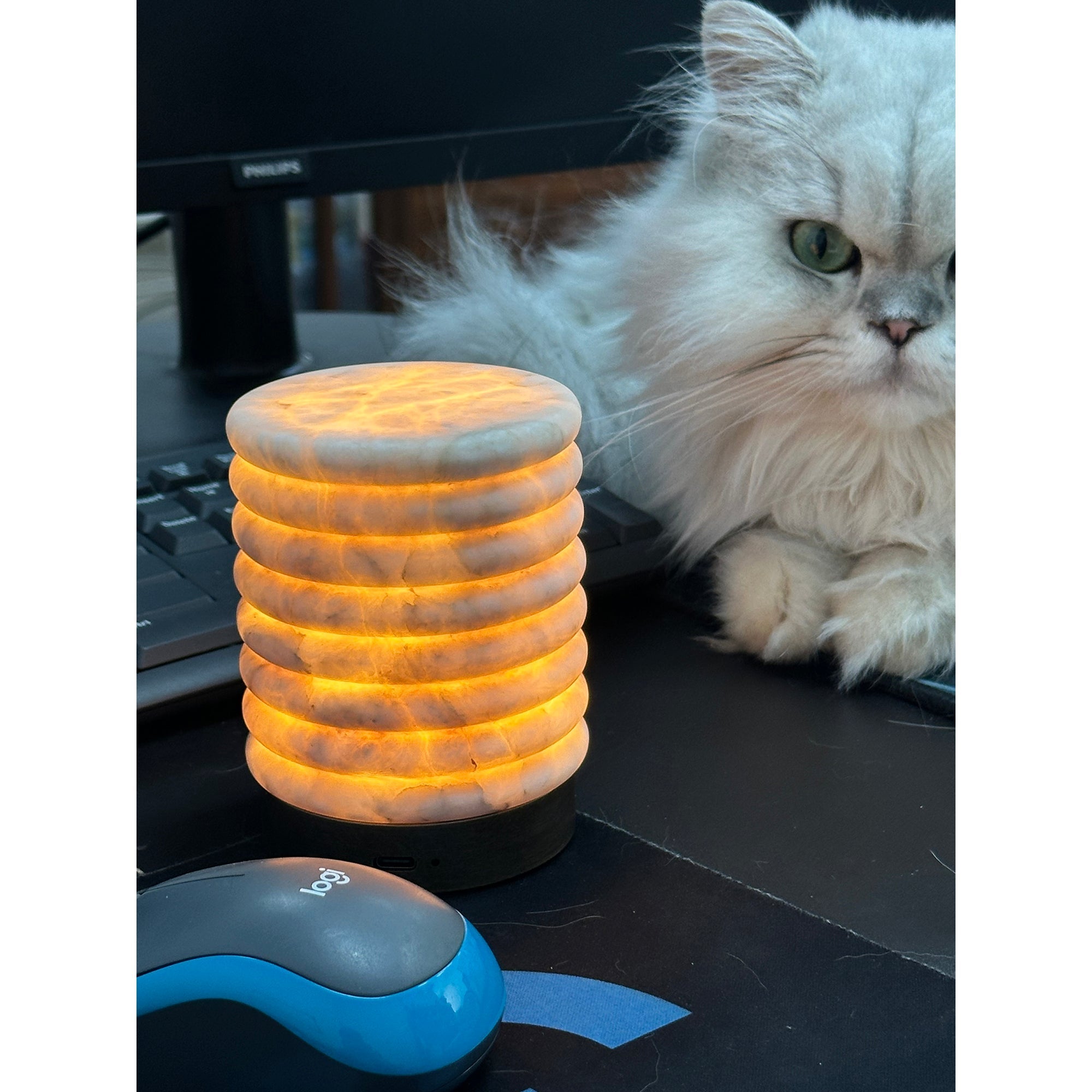 Poullion Table Lamp