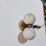 Renee Sconce