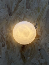 Rhys Semicircle Sconce