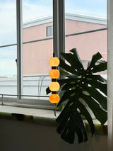 Robbin Pendant Lamp