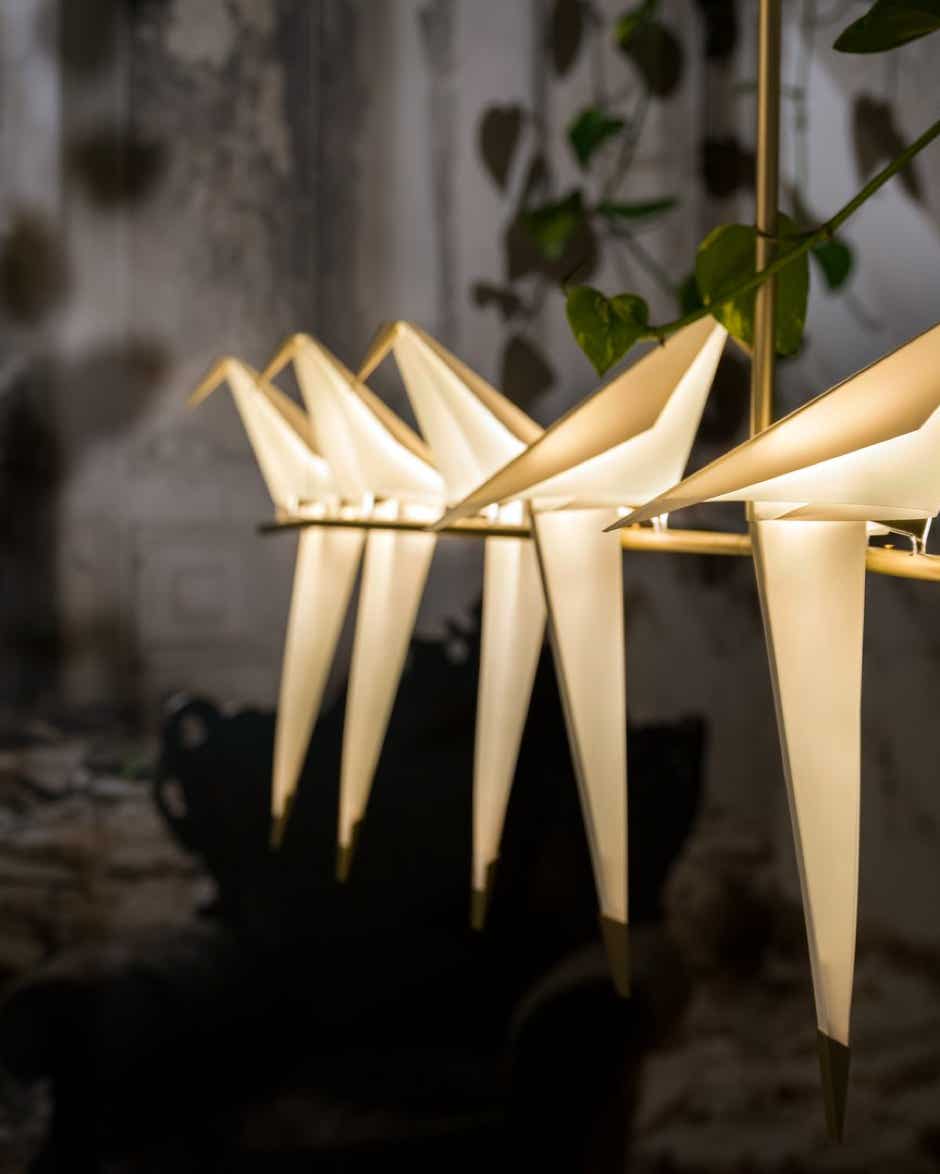 Perch Light Branch Collection