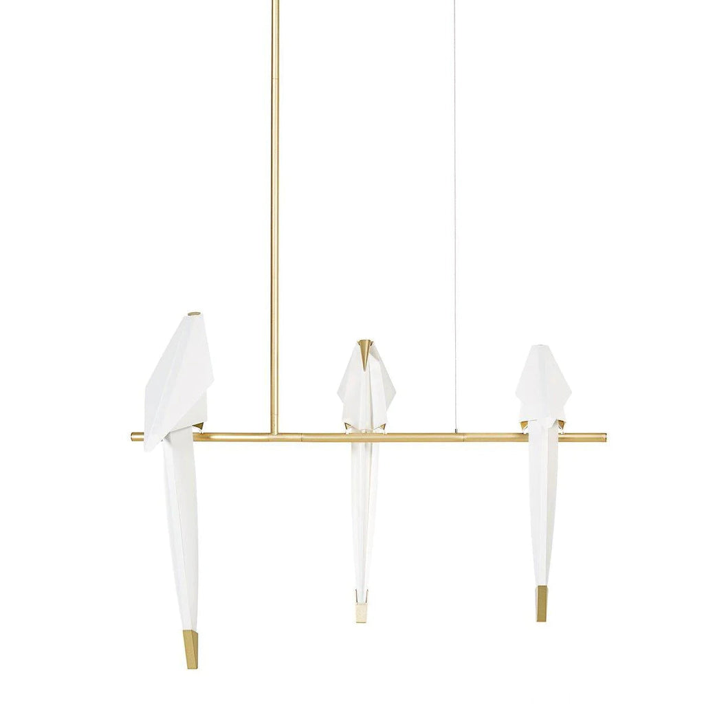 Perch Light Branch Collection