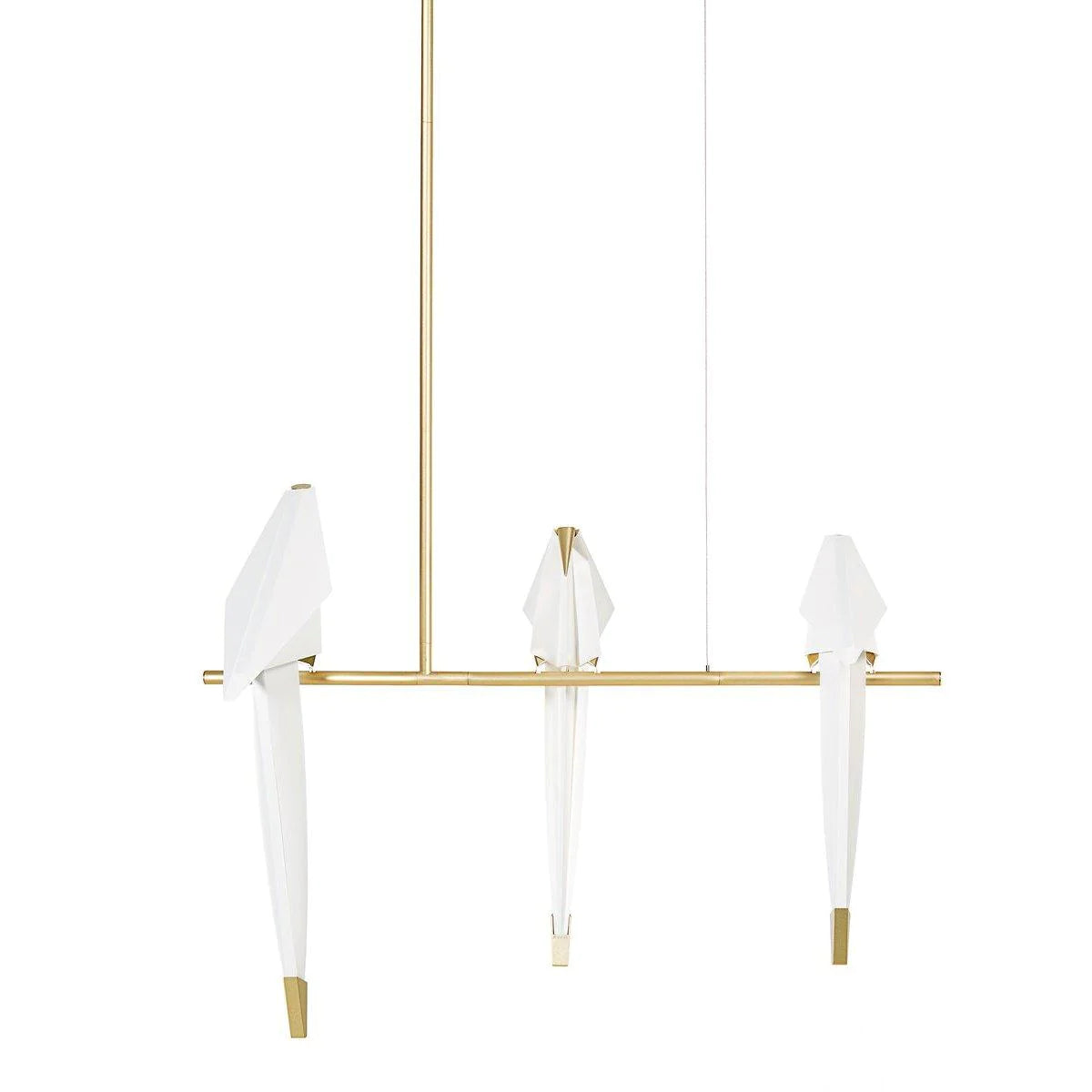 Perch Light Branch Collection
