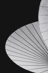Serpentine Pendant Lamp