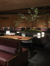 Shala Table Lamp