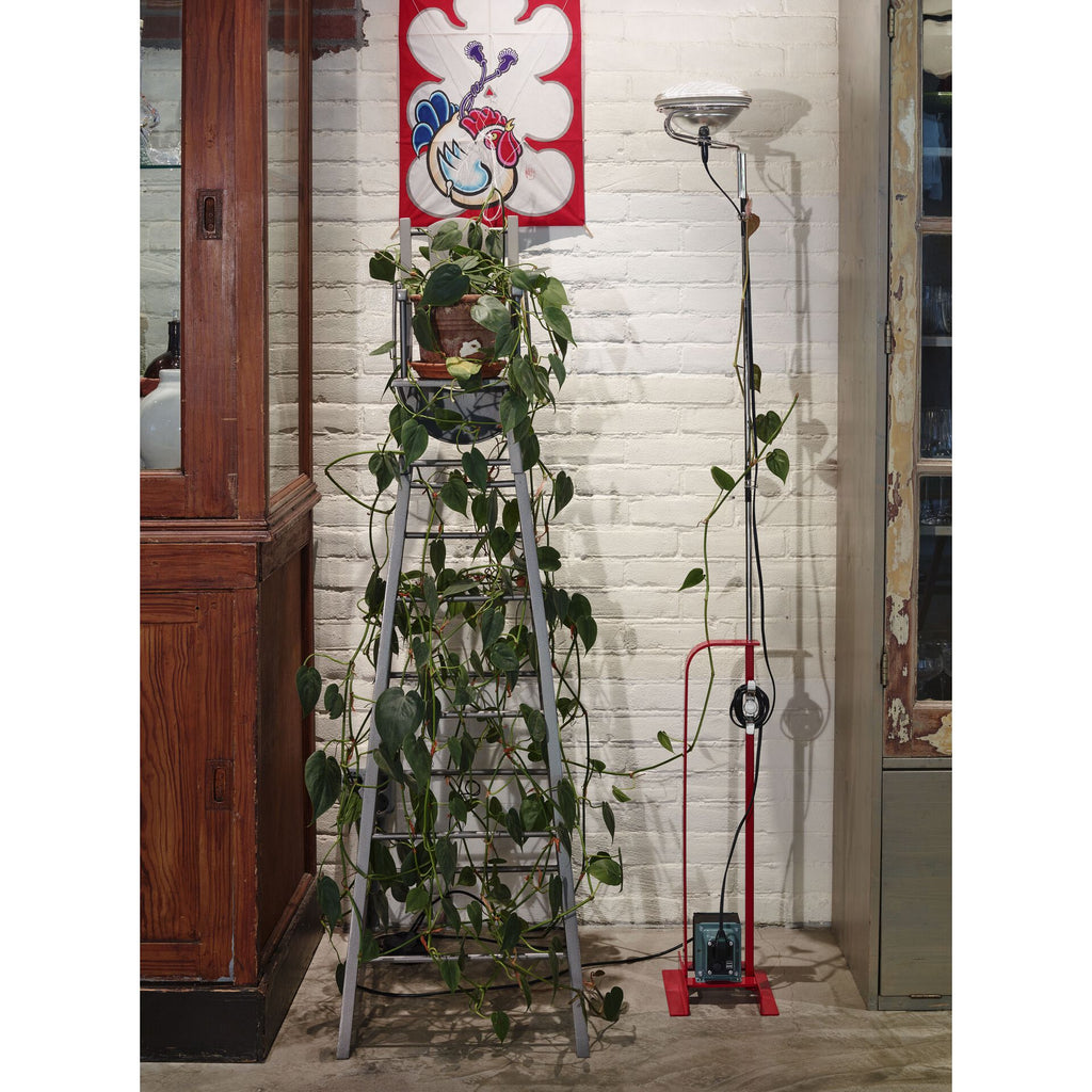 Toio Led Modern Floor Lamp