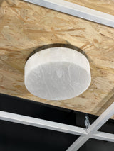 Torrie Flush Mount Light