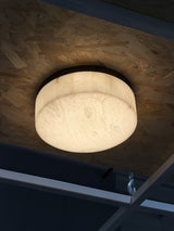 Torrie Flush Mount Light
