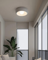 Varcoe Flush Mount Lighting