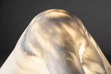 Velo Table Lamp
