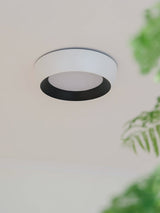 Wedell Ceiling Light