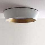 Wedell Ceiling Light
