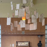 Zettel'z Pendant Light