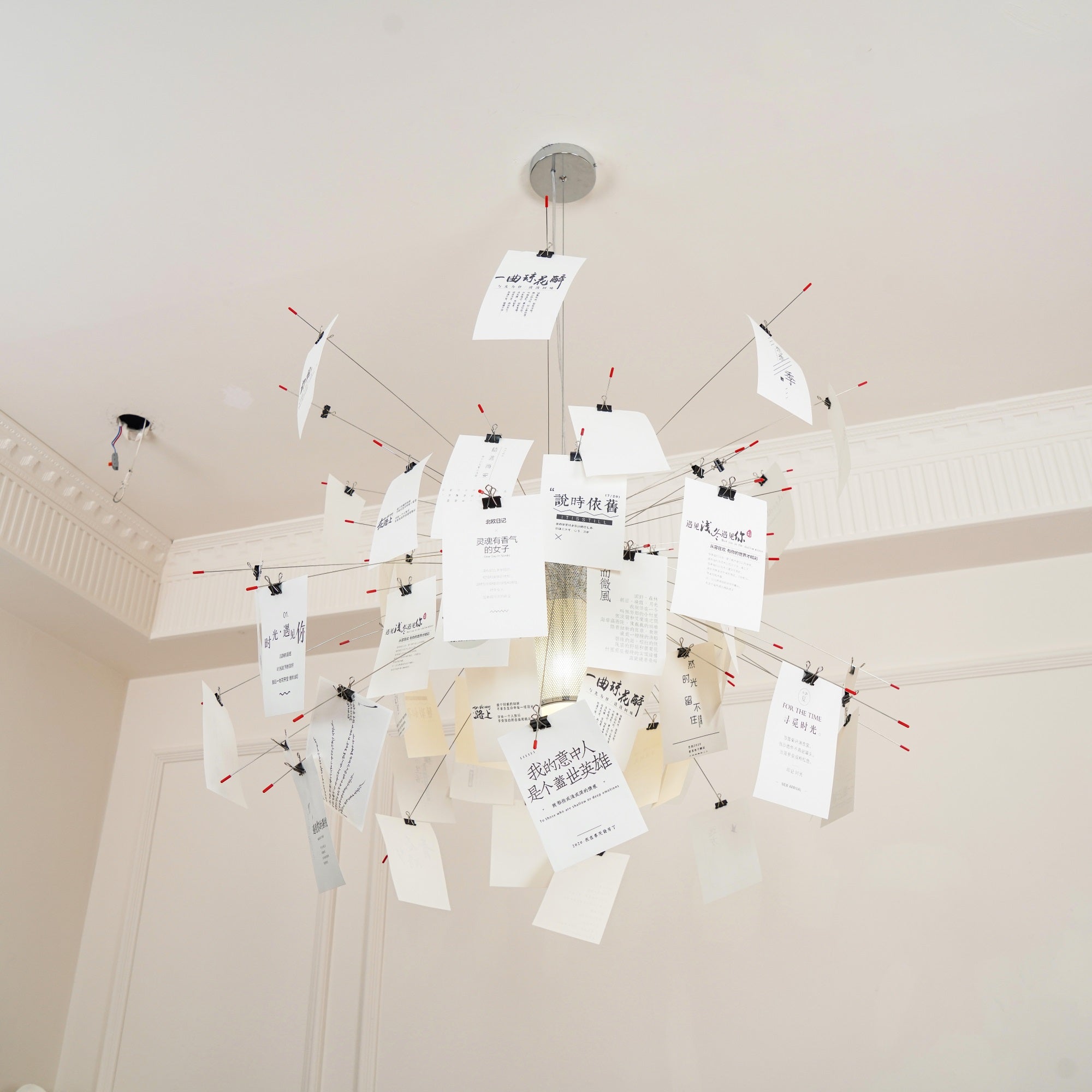 Zettel'z Pendant Light
